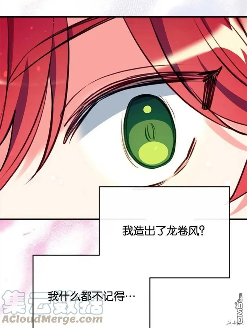 22.公爵的取舍 第97页
