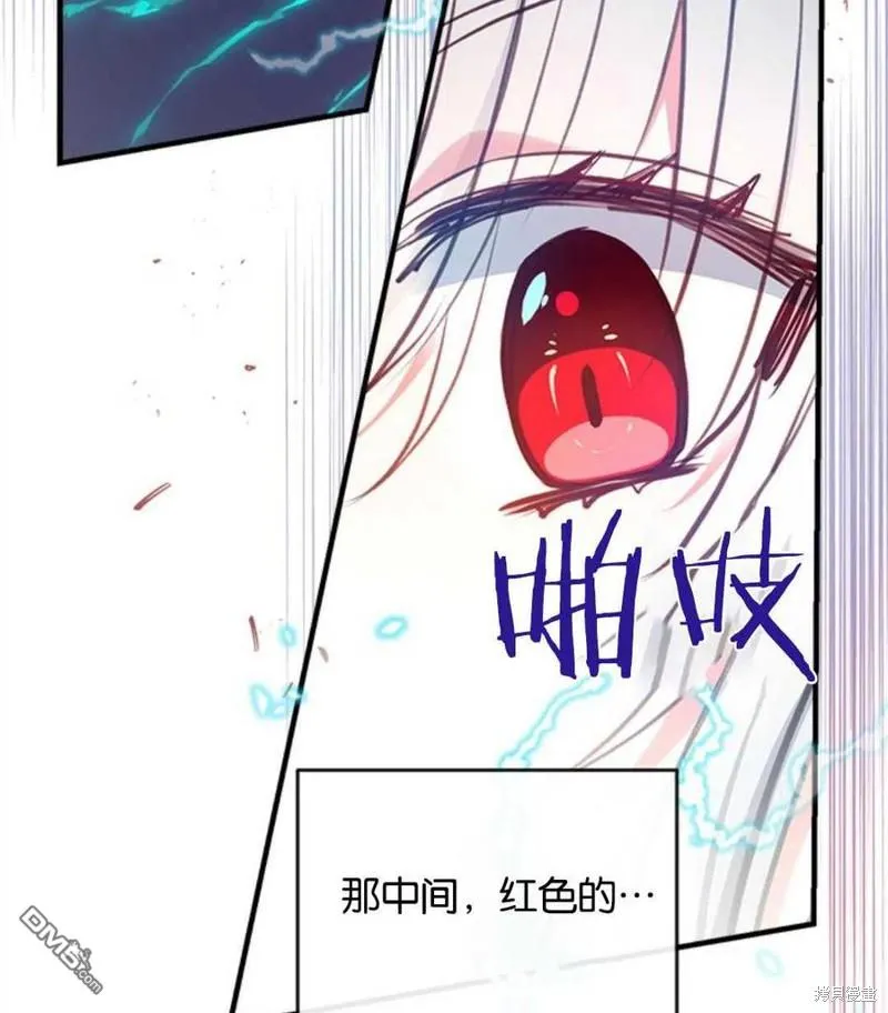 22.公爵的取舍 第106页
