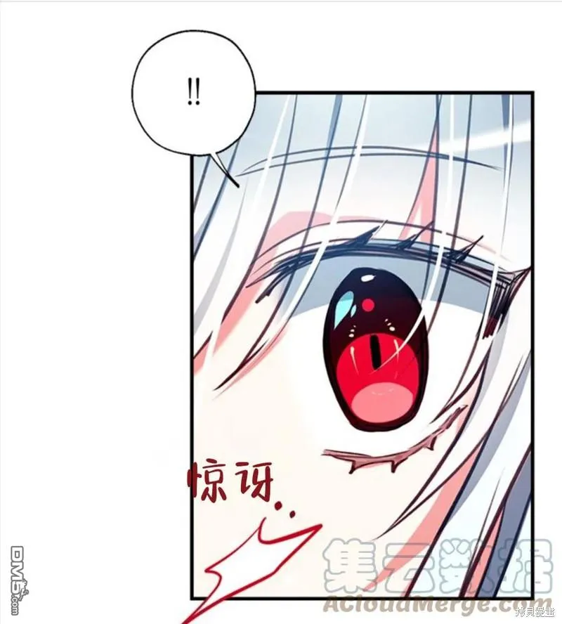 19.伍德的阴谋 第1页