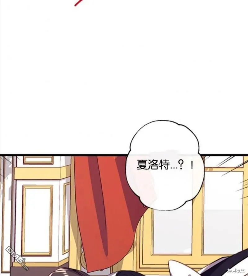19.伍德的阴谋 第2页