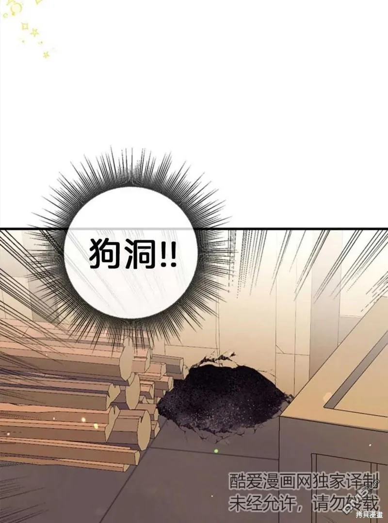 20.成功出逃 第66页