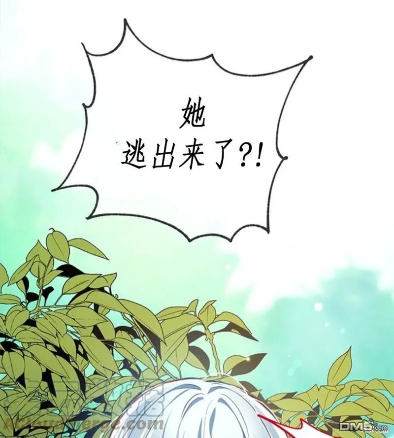 20.成功出逃 第81页