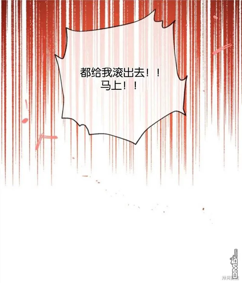 16.崩溃的薇薇安 第11页