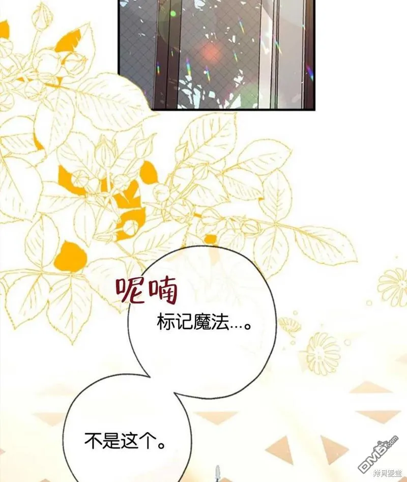 13.苦寻黑月秘密 第42页