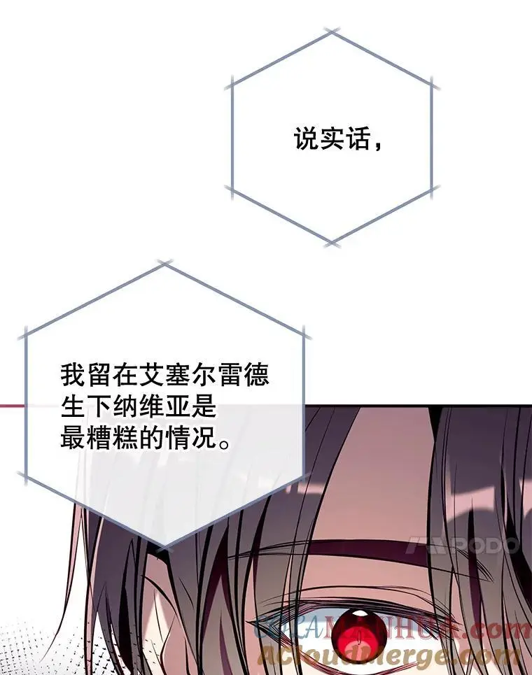 88.纳维亚的母亲 第41页