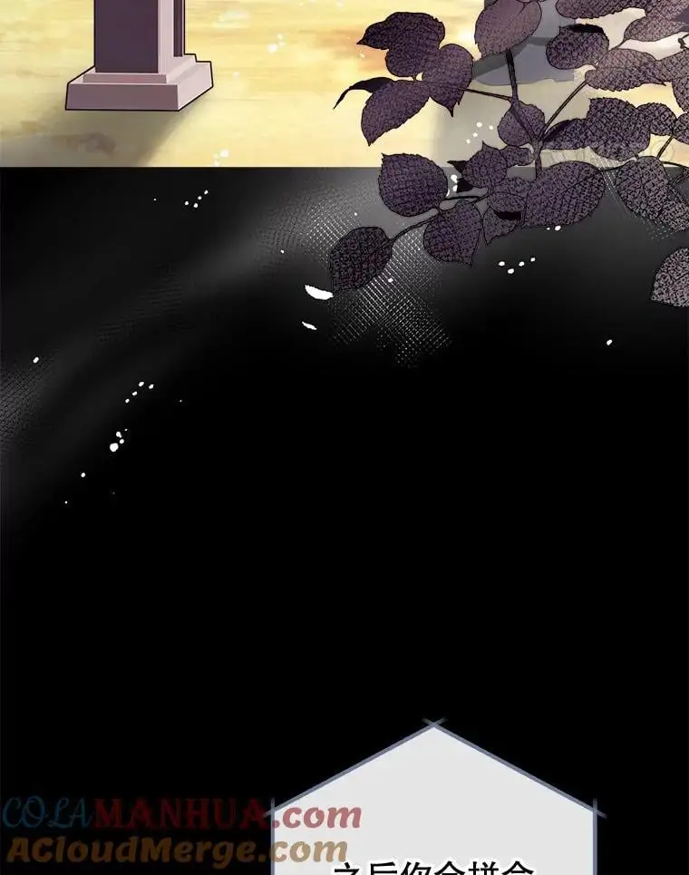 88.纳维亚的母亲 第45页