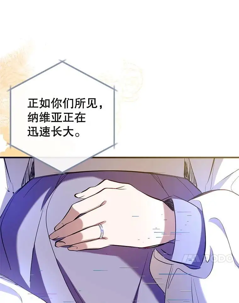 88.纳维亚的母亲 第74页