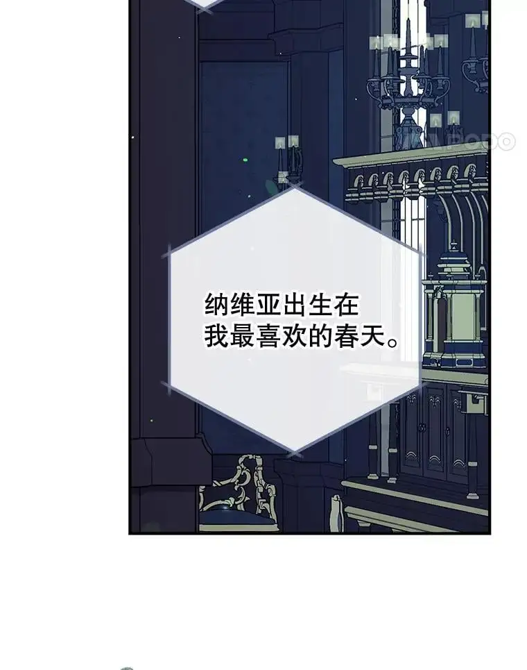 88.纳维亚的母亲 第115页