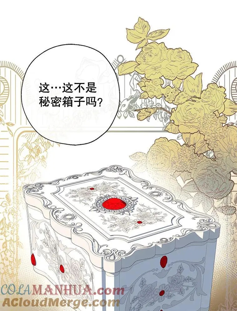 87.秘密箱子 第109页