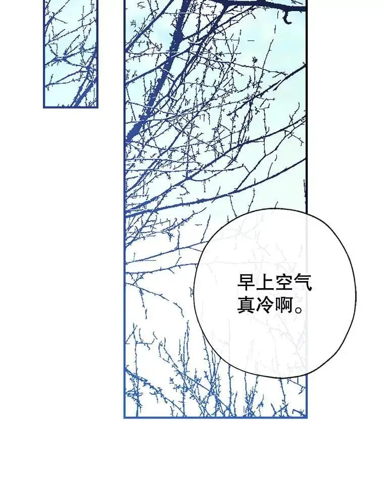 86.“纳维亚” 第2页