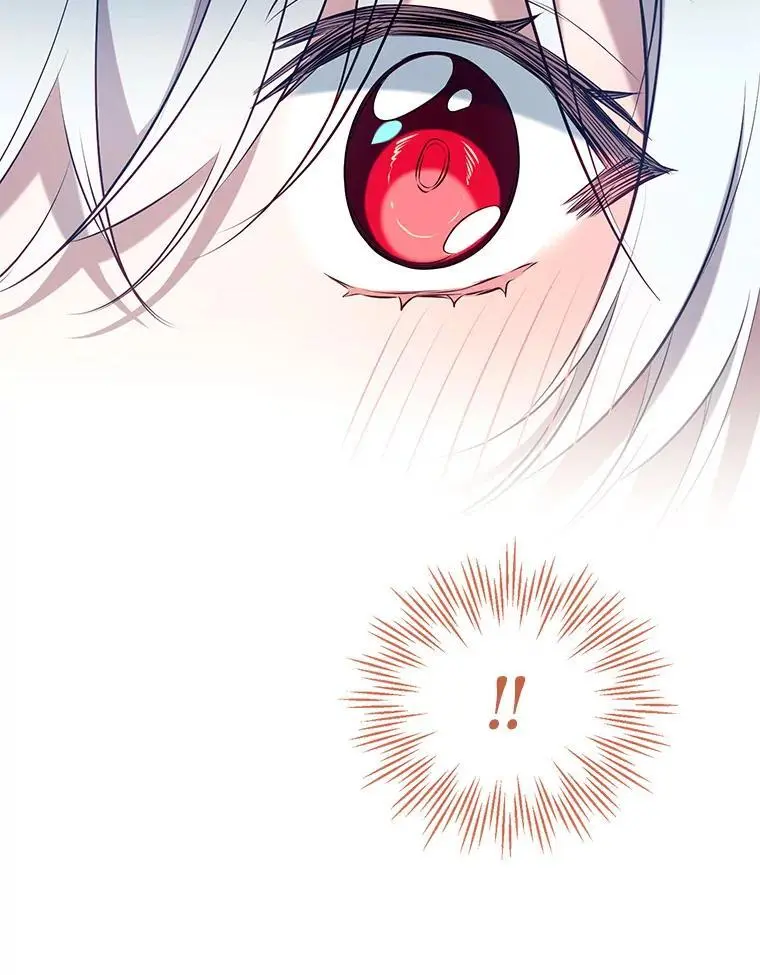 86.“纳维亚” 第104页
