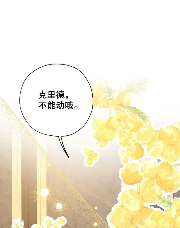86.“纳维亚” 第119页