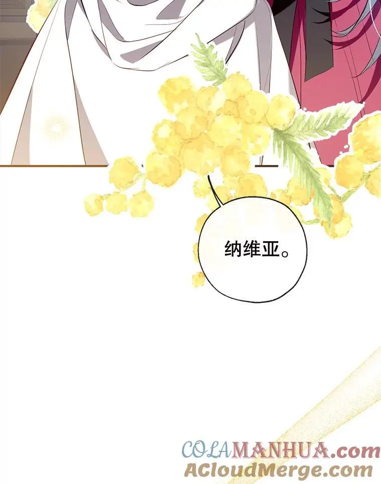 86.“纳维亚” 第121页