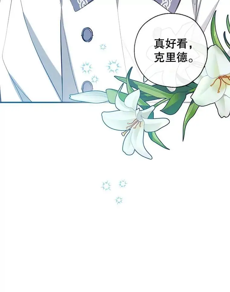 86.“纳维亚” 第126页