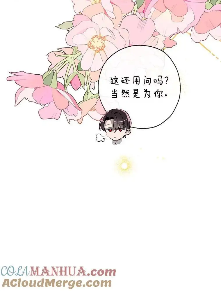 86.“纳维亚” 第137页