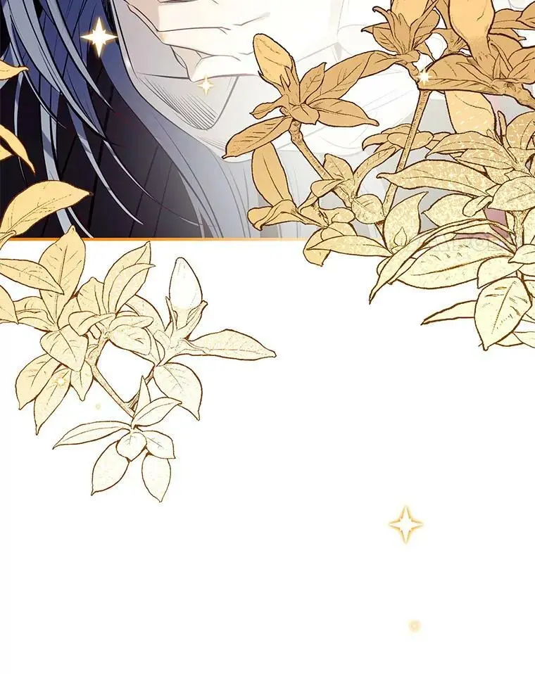 72.纳维亚·艾塞尔雷德 第4页