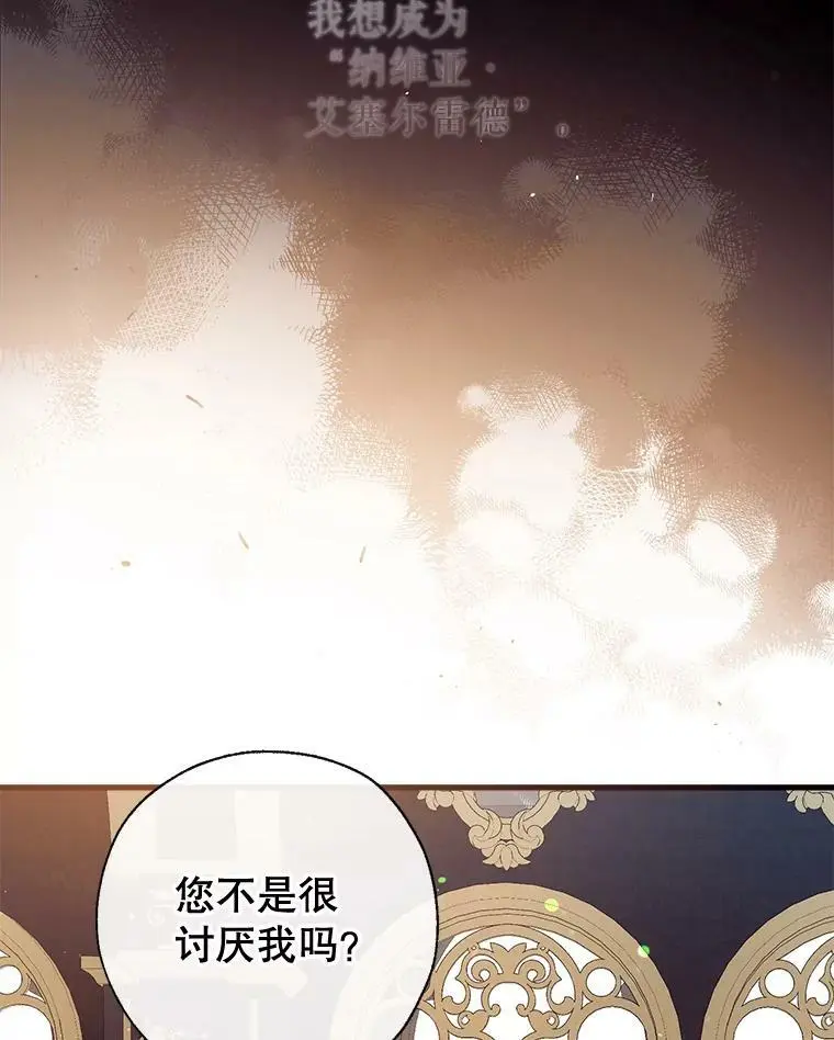 72.纳维亚·艾塞尔雷德 第95页