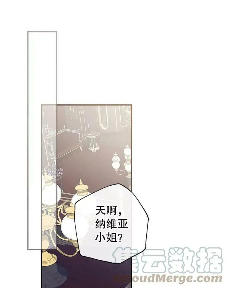 63.隐匿的弗拉基纳 第1页