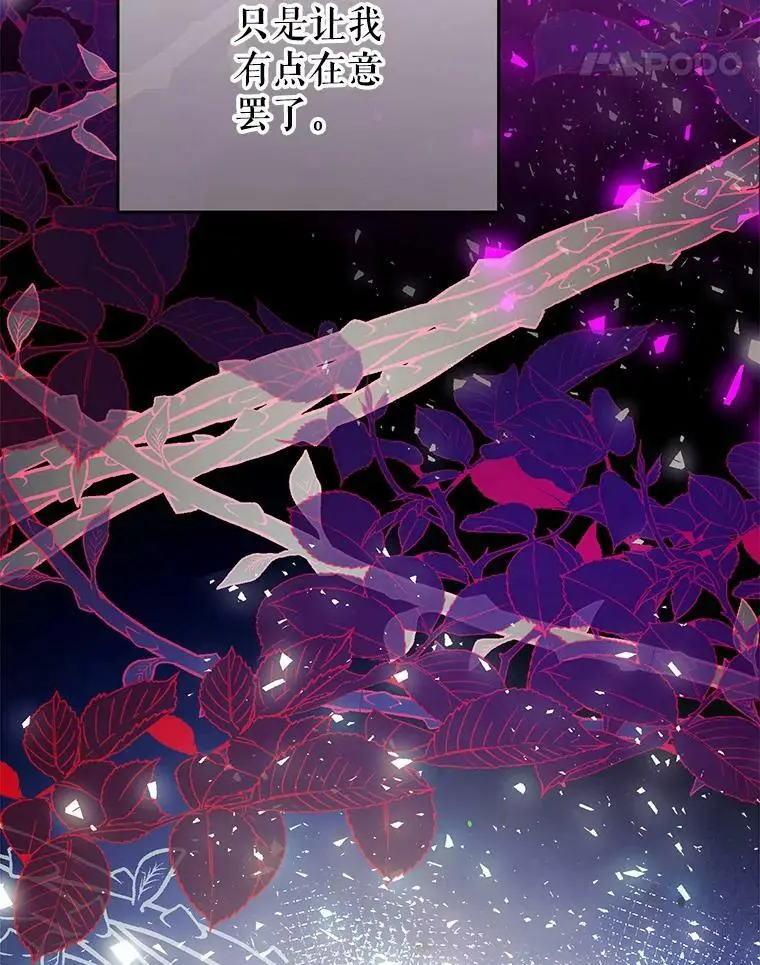 63.隐匿的弗拉基纳 第11页