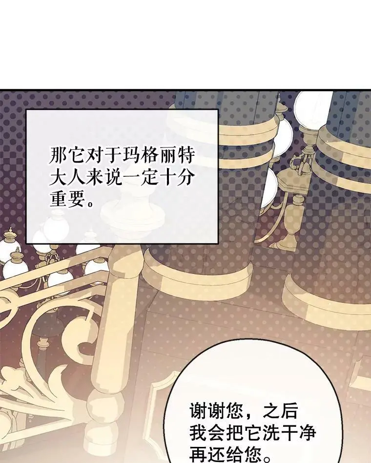 63.隐匿的弗拉基纳 第26页