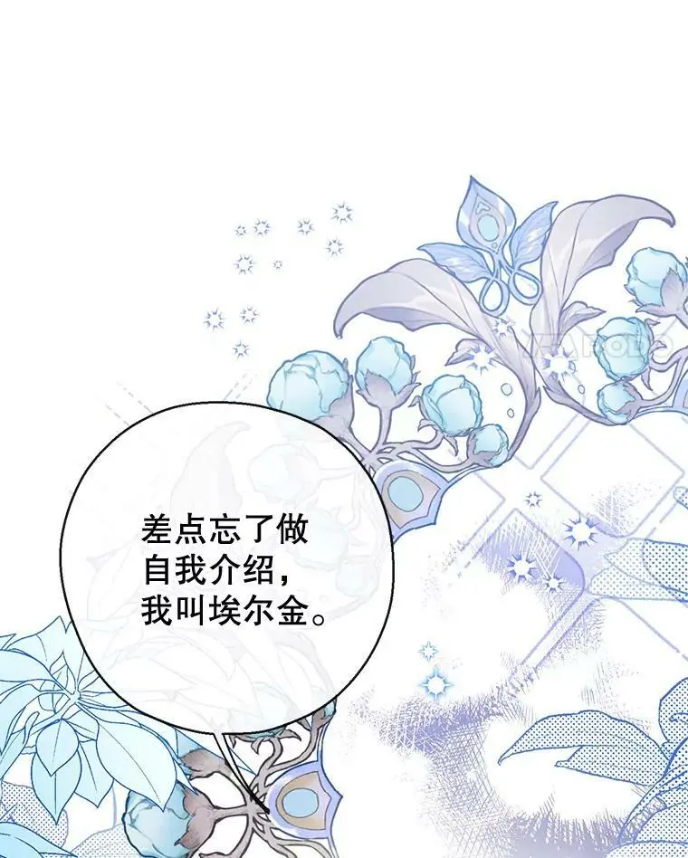 63.隐匿的弗拉基纳 第92页