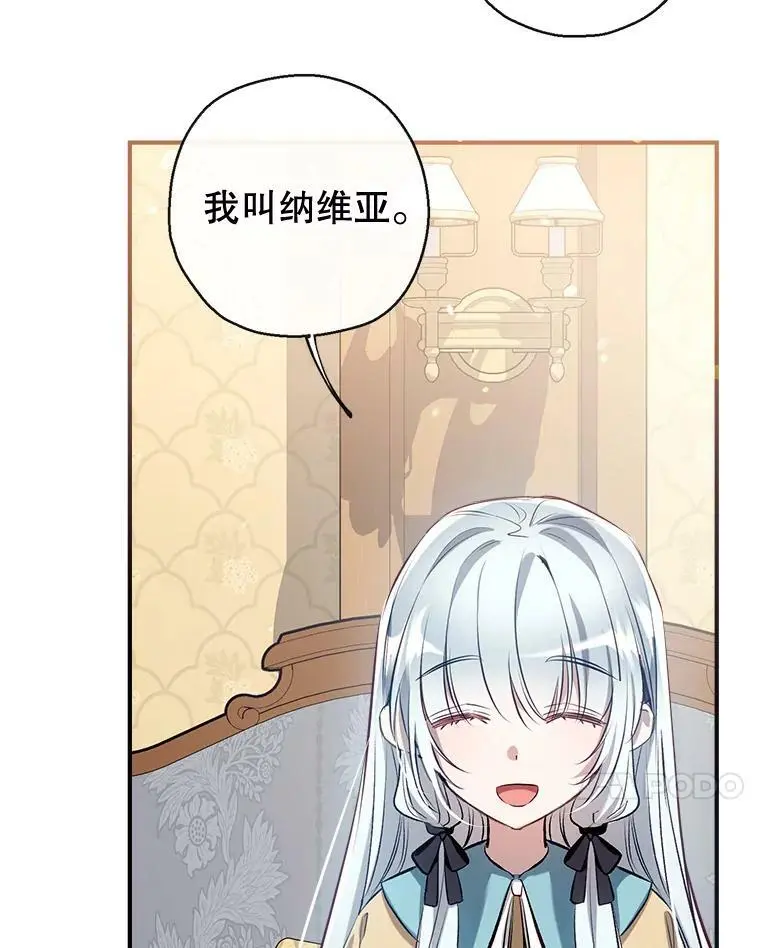63.隐匿的弗拉基纳 第95页