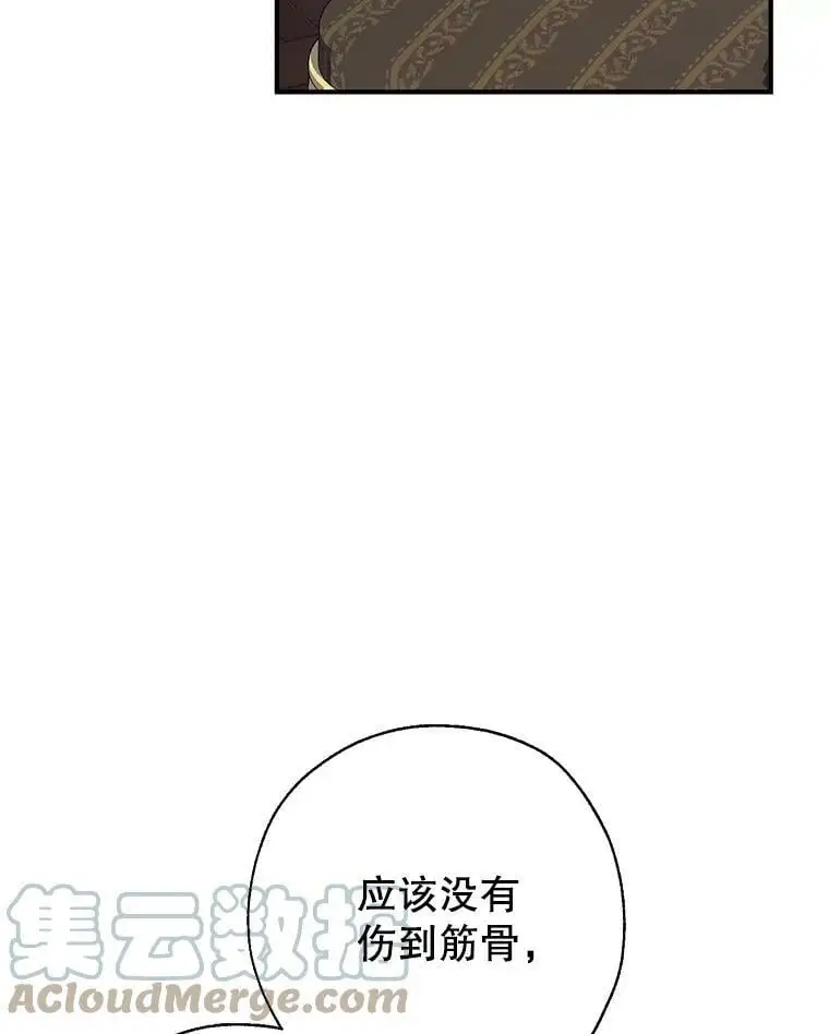 49.联手 第25页