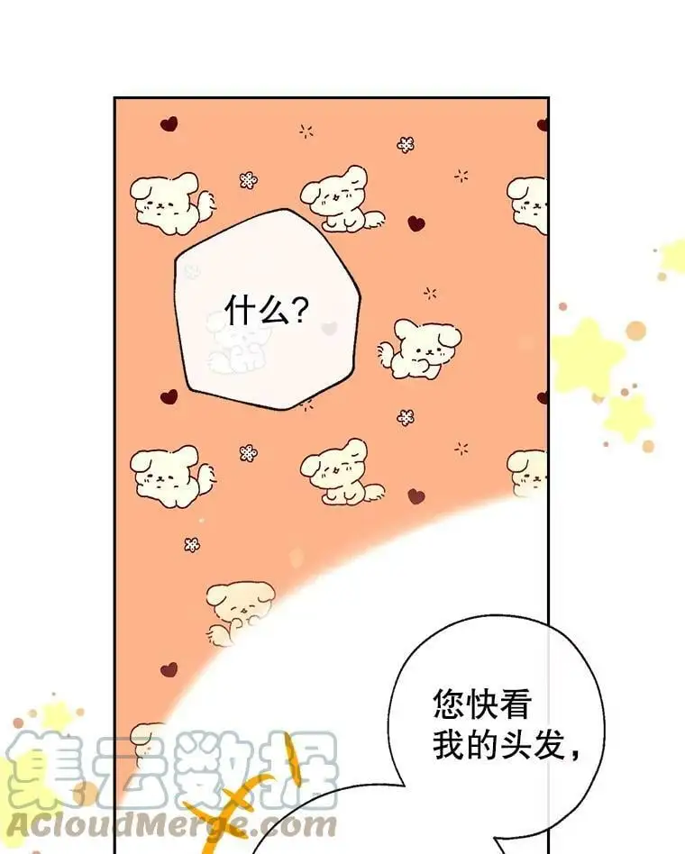 43.暴风前的宁静 第37页