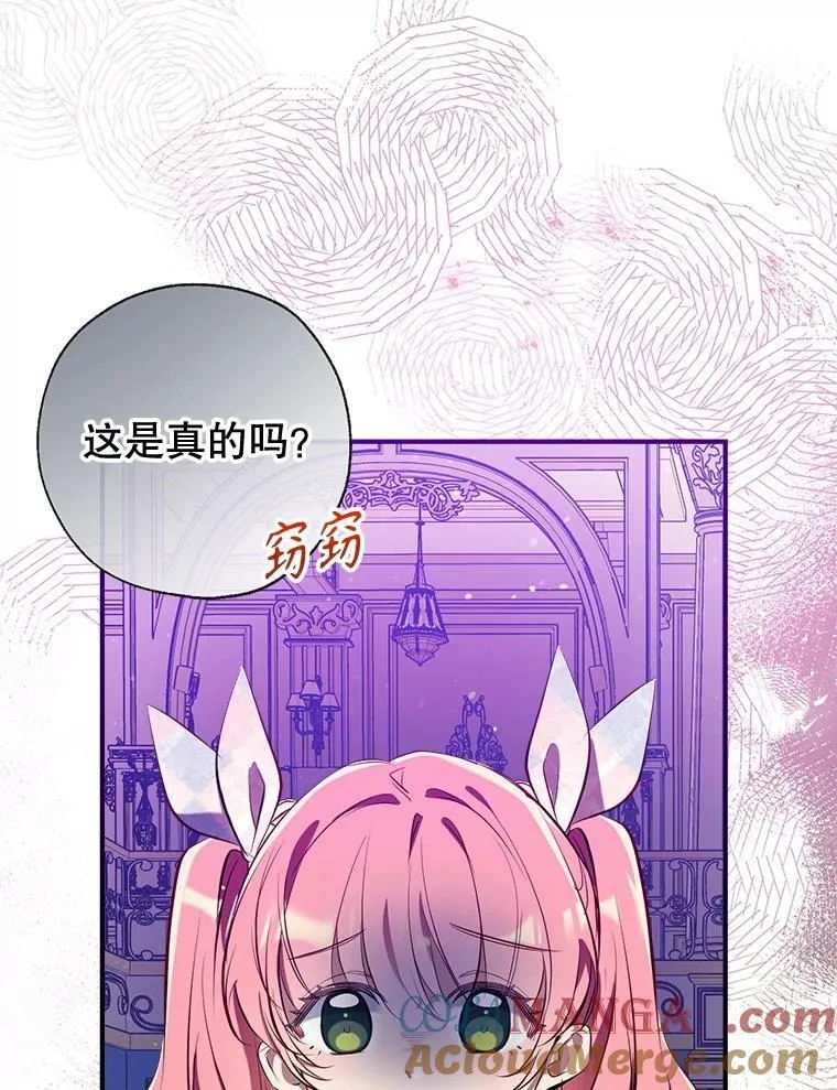 101.纳维亚的狗 第5页