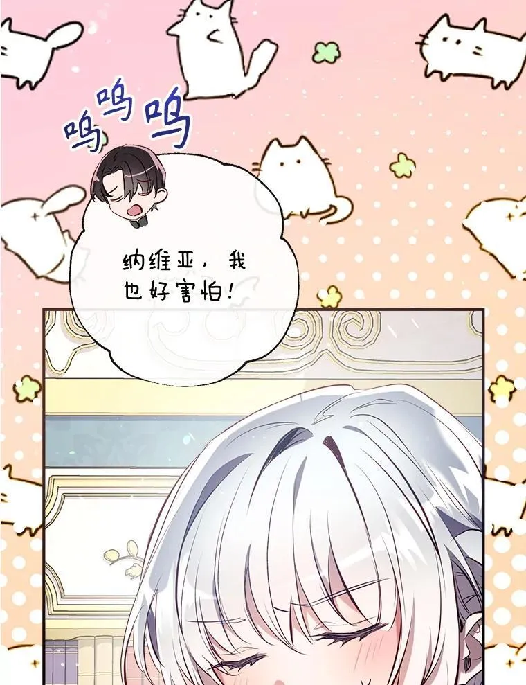 101.纳维亚的狗 第11页