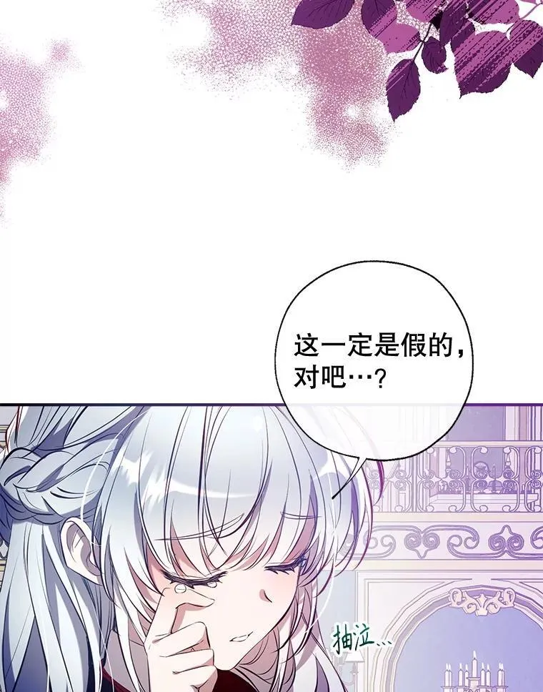 101.纳维亚的狗 第26页