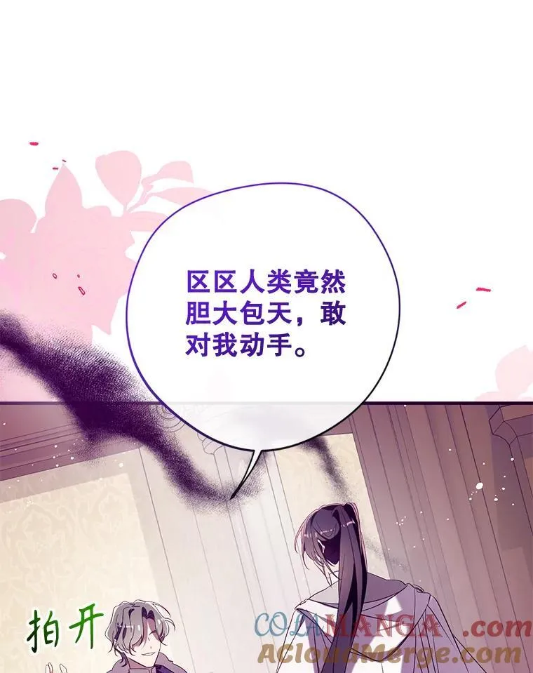 126.团聚 第13页