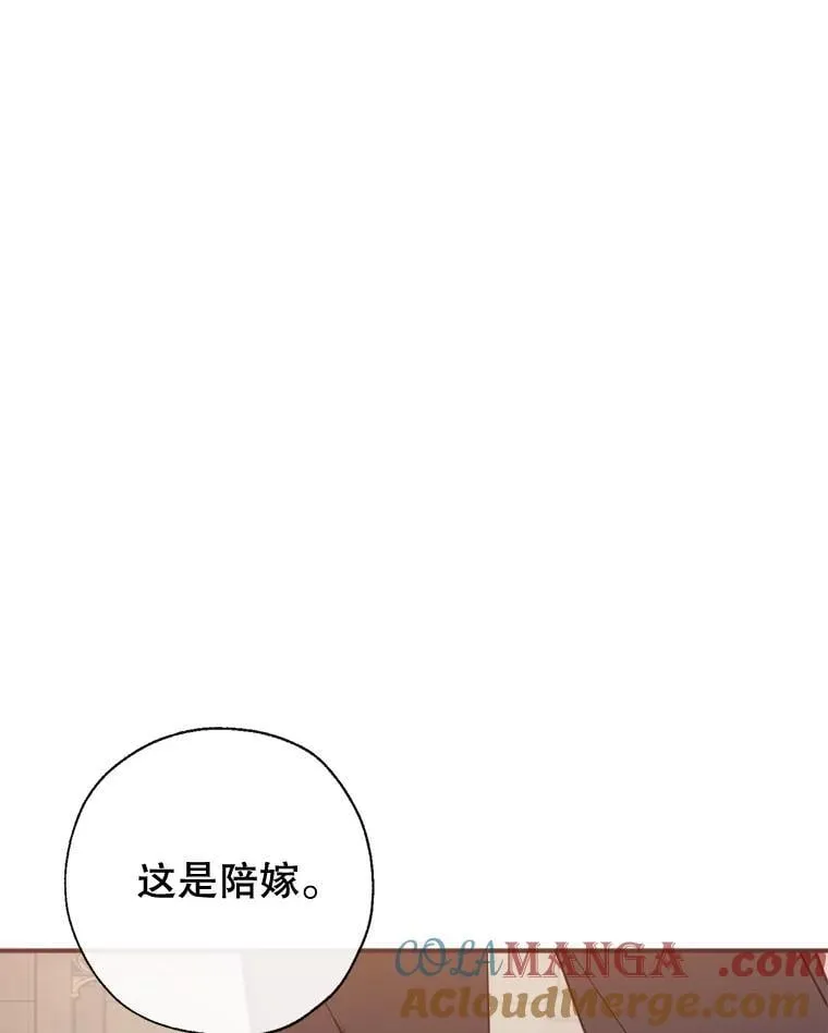 132.嫁妆 第101页