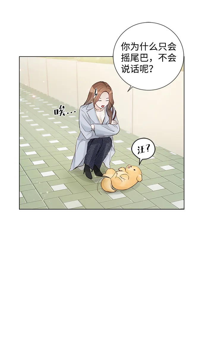 第79话 第16页