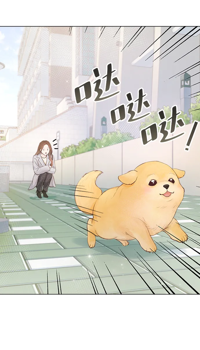 第79话 第28页