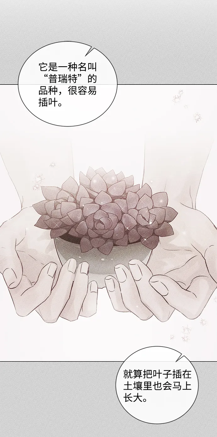 第50话 第37页