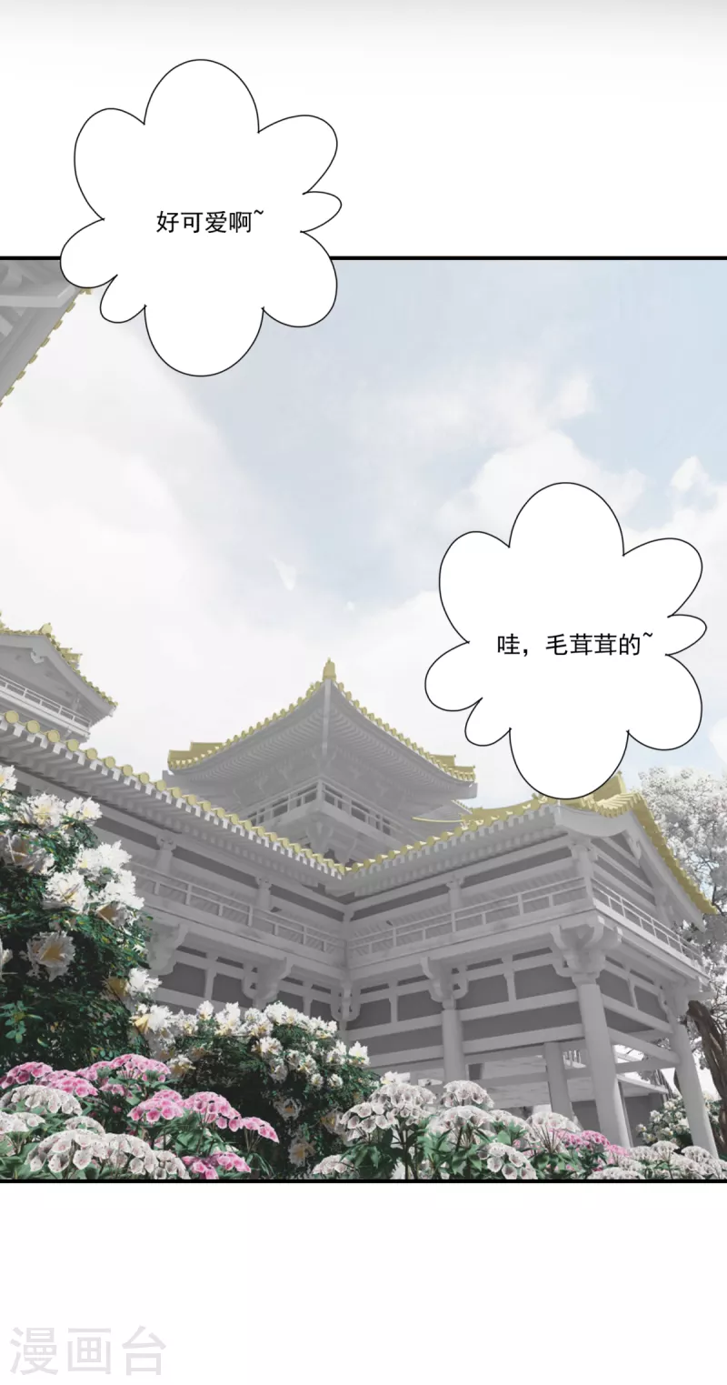第41话 我不会放弃她 第34页
