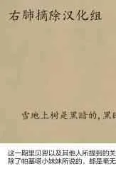 23.3卷 第20页