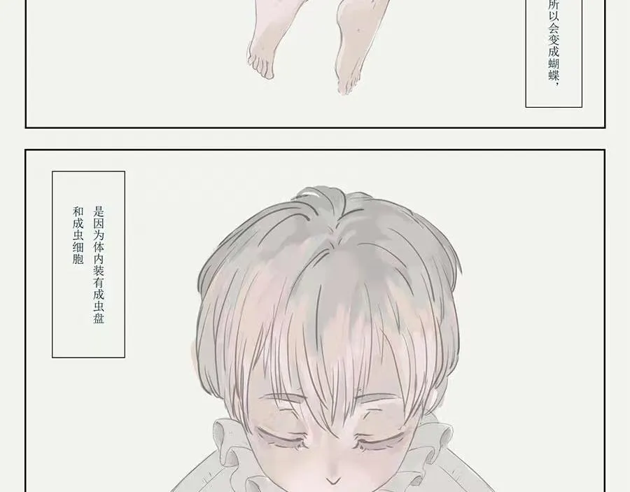 毛毛虫篇（前） 第11页