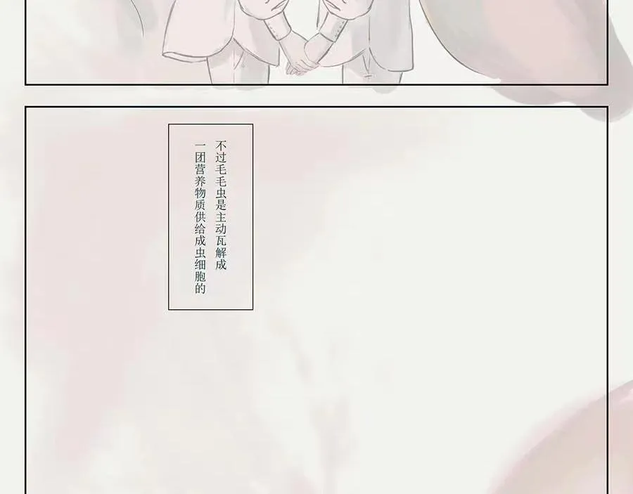 毛毛虫篇（前） 第15页