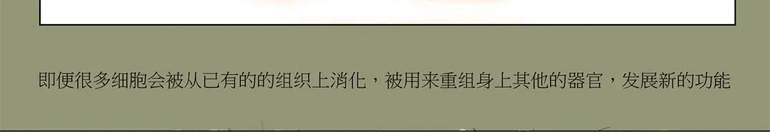 毛毛虫篇（前） 第25页