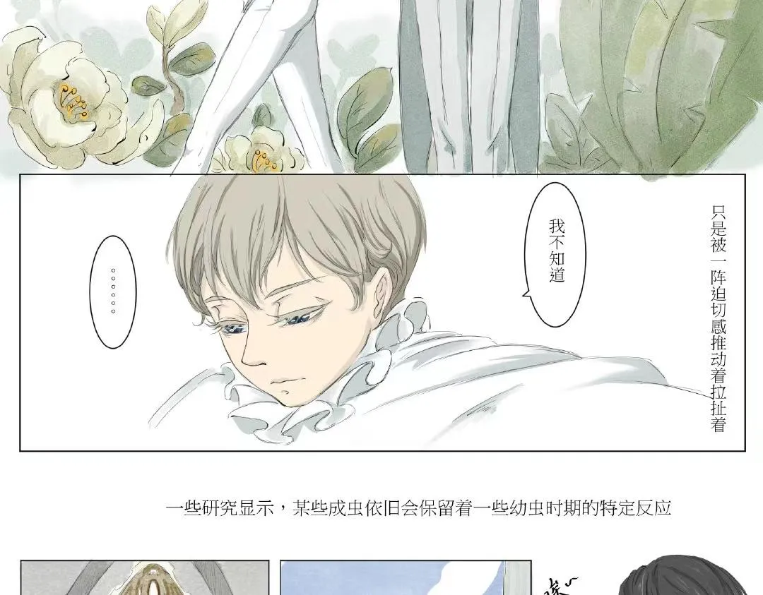 毛毛虫篇（前） 第29页