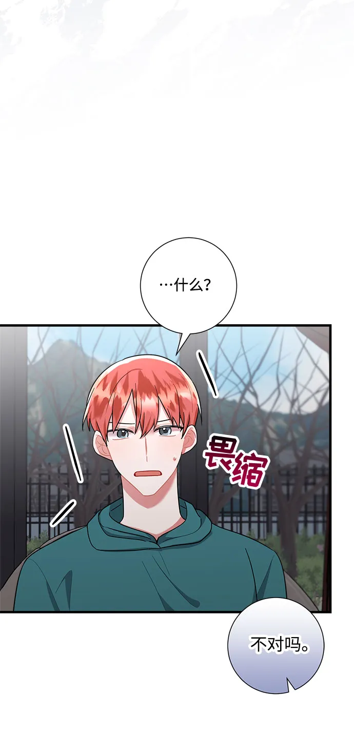 第81话 第65页