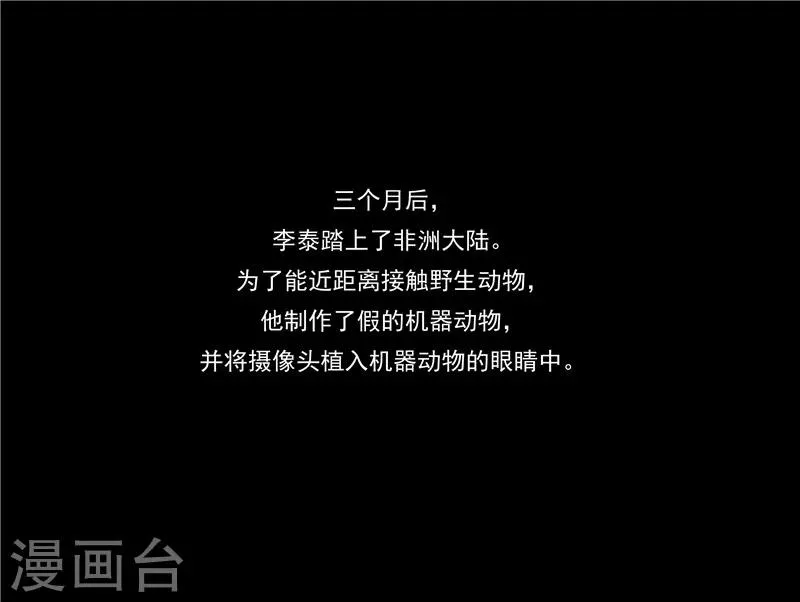 第44话 动物世界 第12页