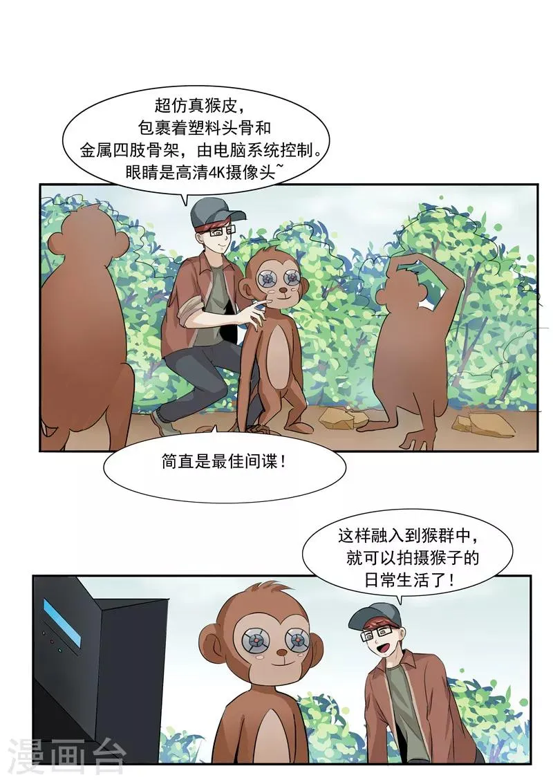 第44话 动物世界 第13页