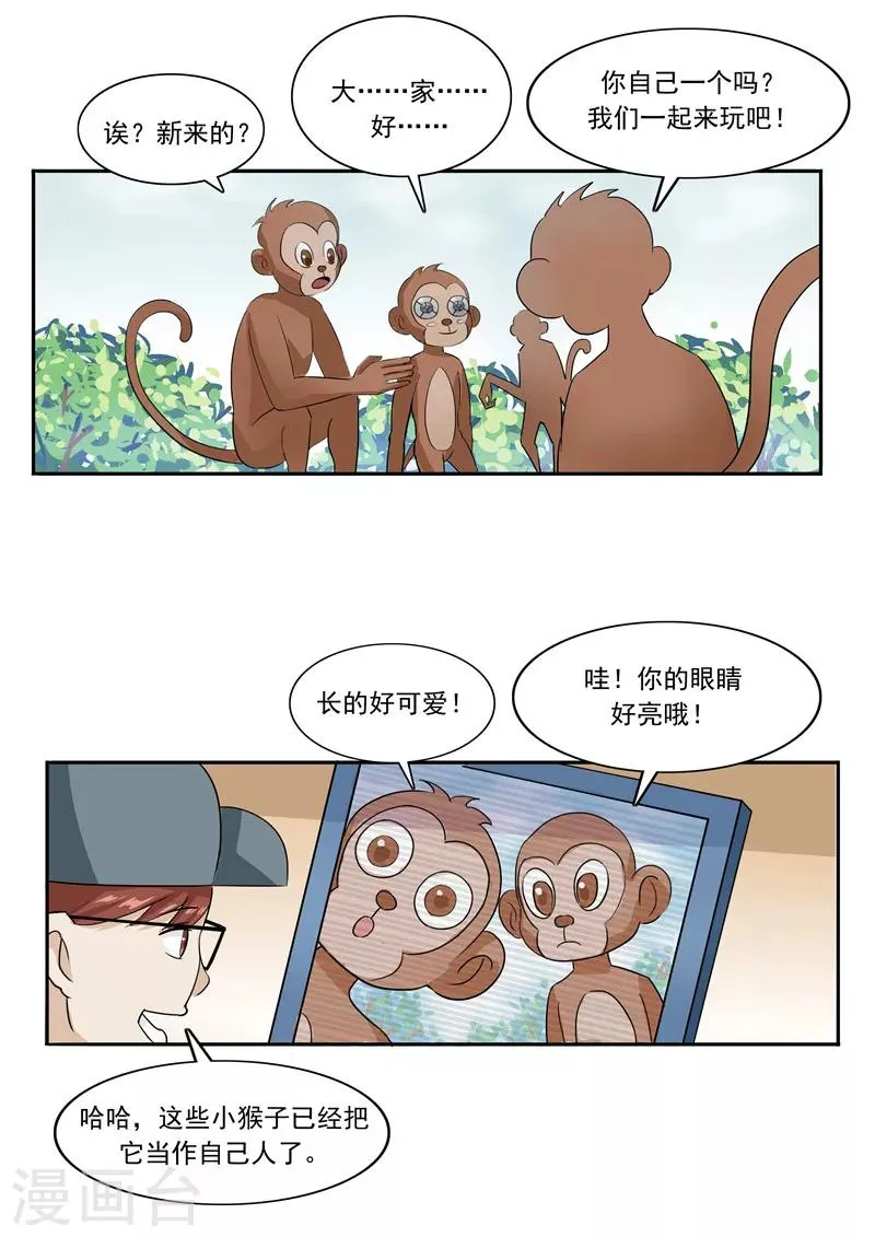 第44话 动物世界 第14页