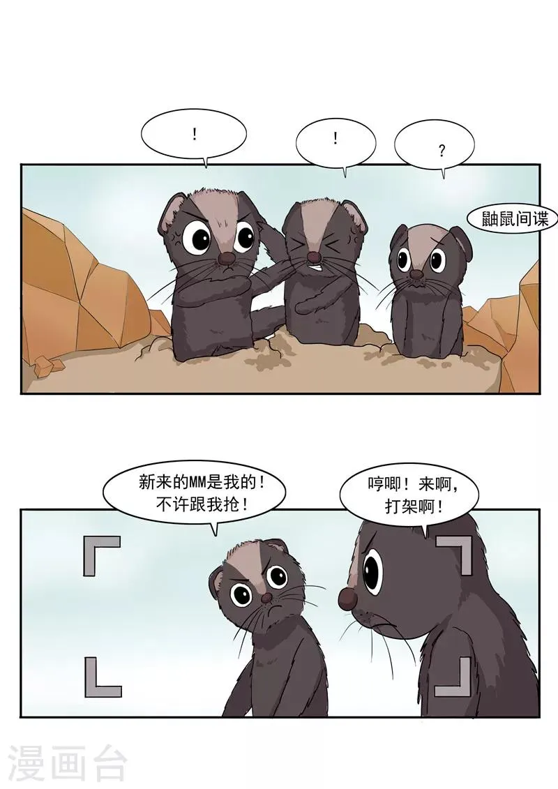 第44话 动物世界 第16页