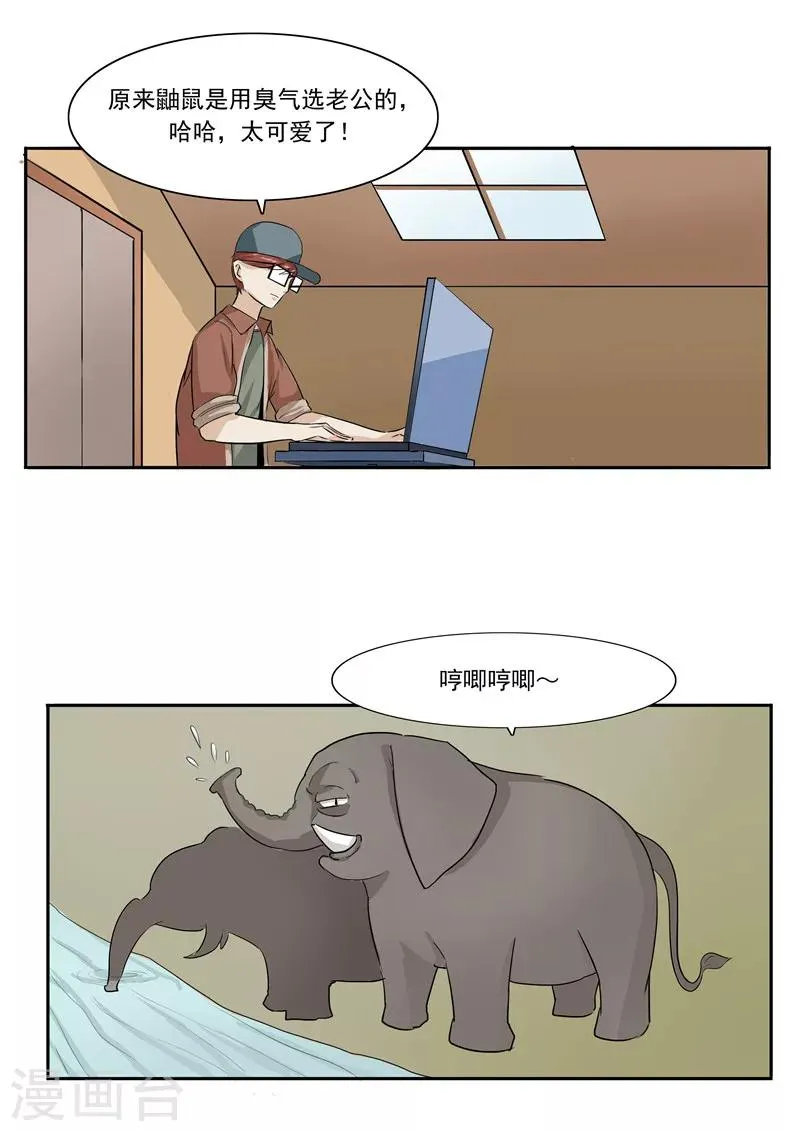 第44话 动物世界 第17页