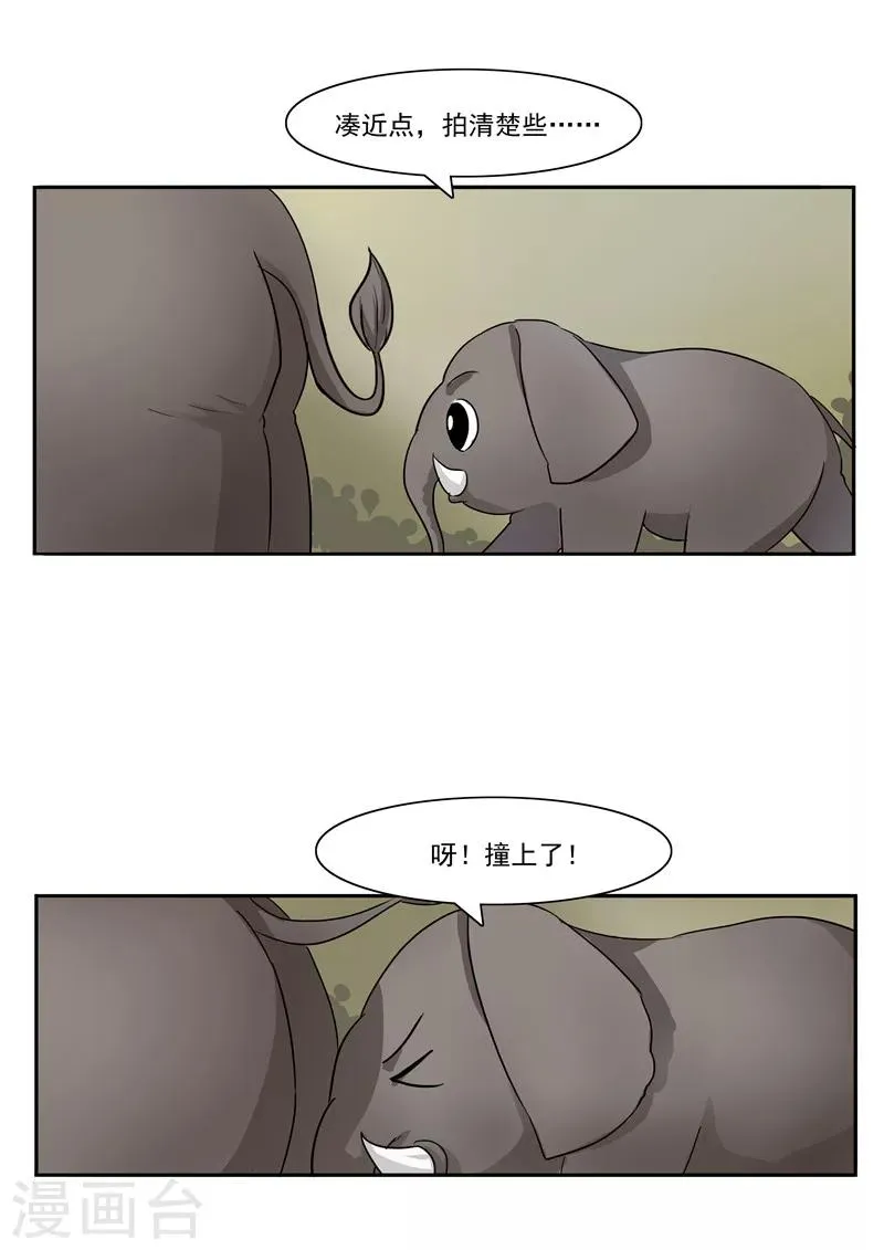 第44话 动物世界 第18页