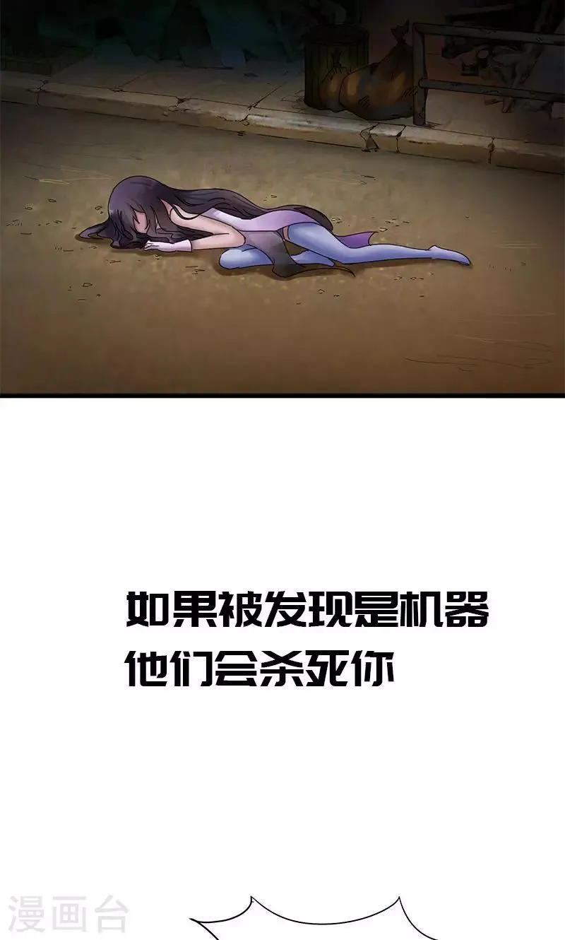 新作推荐 第11页